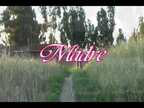 MADRE LA PELICULA