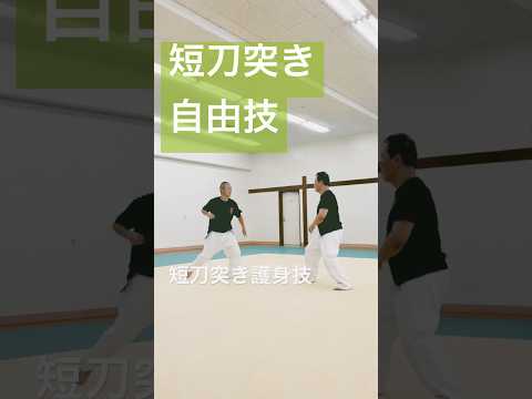 合気道練精会演武会稽古# #aikido #合気道 #aikidotechniques #塩田剛三 #護身術 #養神館