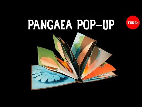 The Pangaea Pop-up - Michael Molina