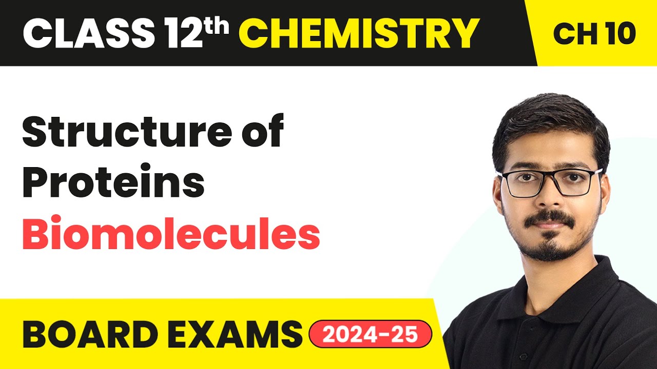 Structure of Proteins - Biomolecules | Class 12 Chemistry Chapter 10 | CBSE 2024-25