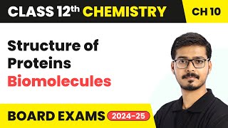 Structure of Proteins - Biomolecules | Class 12 Chemistry Chapter 10 | CBSE 2024-25
