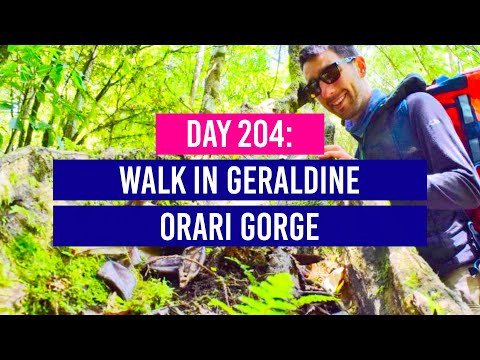 DIA 204 🗺️ Caminhada pelo desfiladeiro de Orari em Geraldine - Viagem à Nova Zelândia