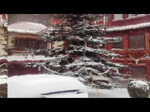 Vila Alexandra in Sinaia