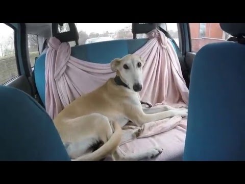 Clifton Park, Rotherham (UK)