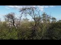 DJI Mini 2 Corella S In Outback Queensland Drone Footage
