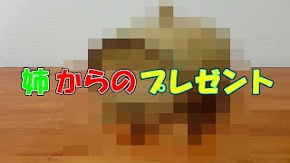 姉から素敵なプレゼントを頂いた♪