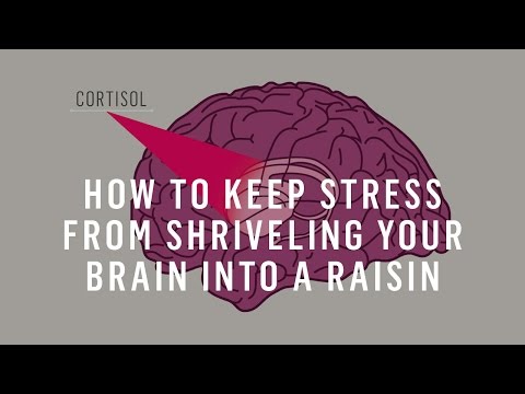 如何防止壓力將你的大腦萎縮成葡萄乾？ (How To Keep Stress From Shriveling Your Brain Into A Raisin)
