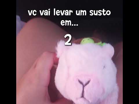 Eita como é corajoso (a)