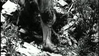 Sixteen Horsepower - Hutterite Mile