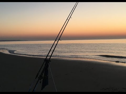 Kat bij konijnenhol? / Zeeuwse natuur & zeevissen in Zeeland met succes
