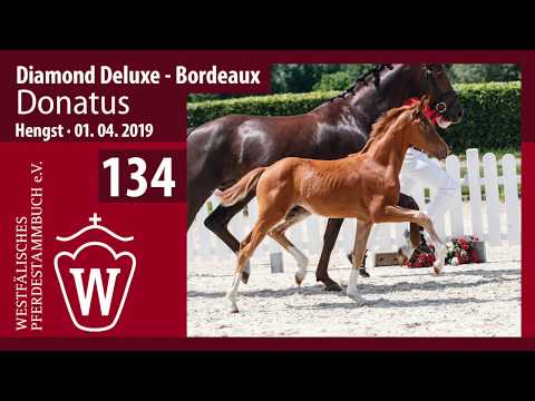 134 Donatus Hengst v.  Diamond Deluxe  - Bordeaux