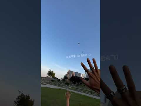 没接住会生气吗！#蜜袋鼯训练 #萌宠的迷惑行为 #治愈小宠