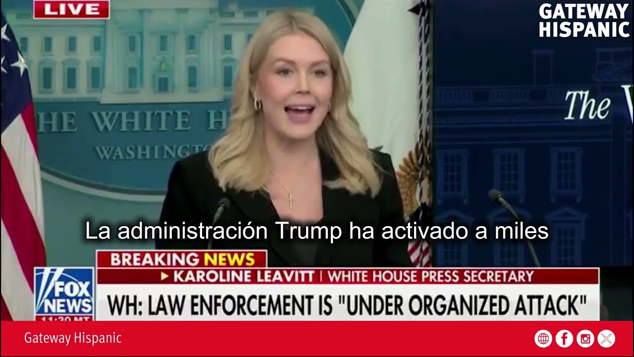 Trump steps up crackdown on crime and fraud in Minnesota (VIDEO)