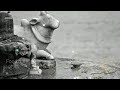 Maha Shivratri Special WhatsApp Status Kisiko Bhang Ka Nasa Hai Muje Tera Nasa Hai