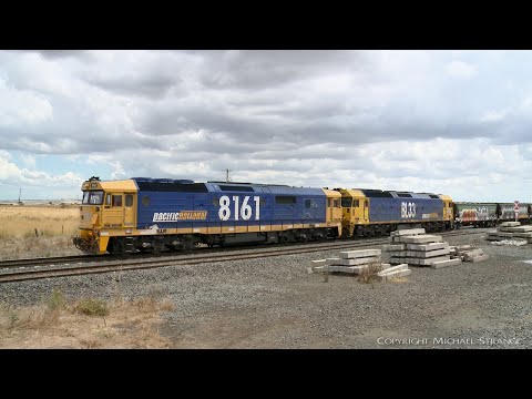7736V Pacific National Grain Train (14/1/2022) - PoathTV Australian Railways