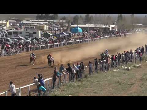 OPTIMUS  Club Hipico Viento Sur   Cutral Co 04 09 2022