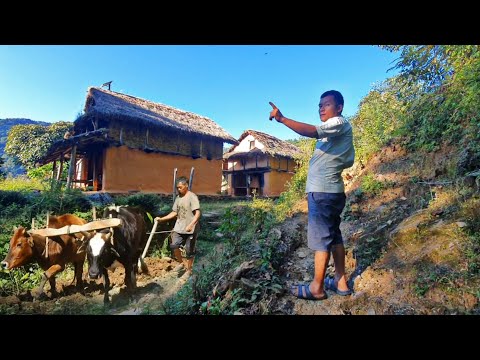 Eastern Beautiful Nepali Village Lifestyle || Farmers Life In Rural Mountain Nepal || Db Limbu