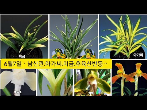 유튜브 썸네일