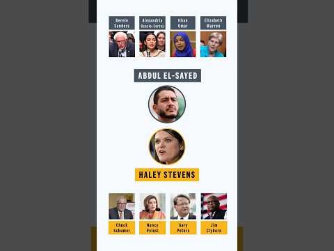 Video Thumbnail: AP Explains Michigan Primary: Progressives versus Establishment Democrats
