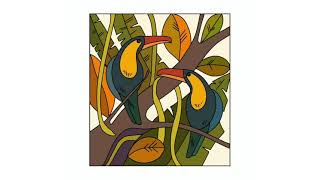 Coloring page - rainforest