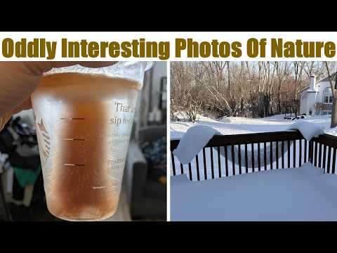 Oddly Interesting Photos Of Nature To Show You How Amazing Nature Is