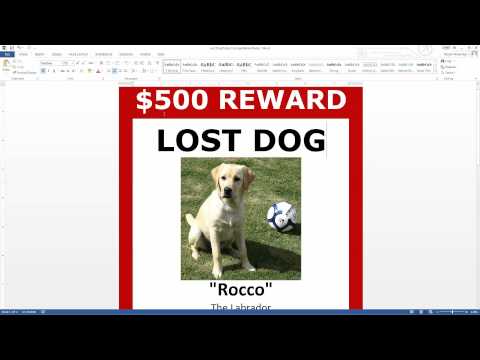 Lost Dog Poster Template FREE Download (MS Word)