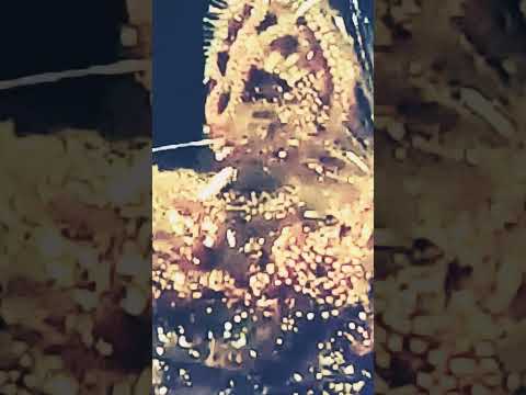 Olympic decapitated angel