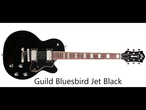 Guild BLUESBIRD BLK 2020 image 5