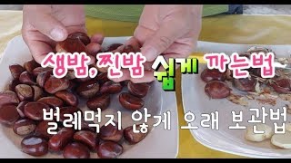 생밤 찐밤 껍질 쉽게 까는법 도전 했는데 결과는 ? 밤 껍질 쉽게 까는법