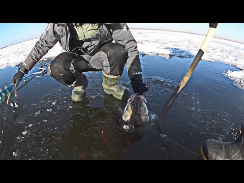 Фото ОН в ней НЕ ПОМЕЩАЕТСЯ! Рыбалка со льда на ОГРОМНЫХ СУДАКОВ
