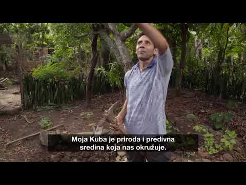 Moja Kuba 5 - Zemljak - Danas 17:30