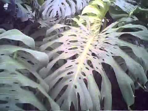 Itagui "Un día muchos días" AMBIENTE ITAGUI 1