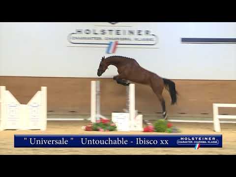 Universale Untouchable Ibisco