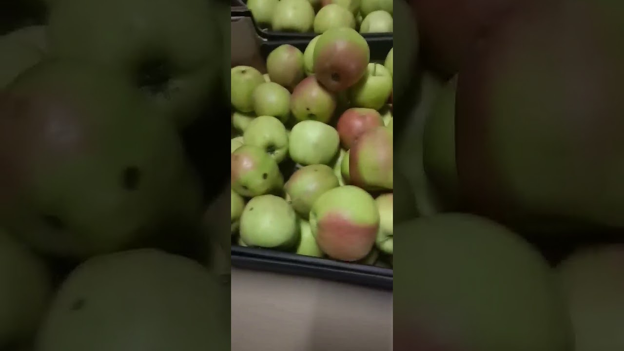 Яблоко ЛИГОЛ 