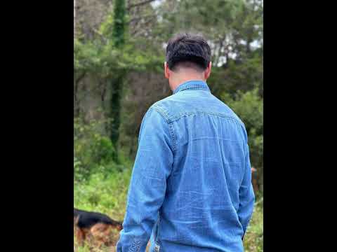 Ivan P (Official Audio)