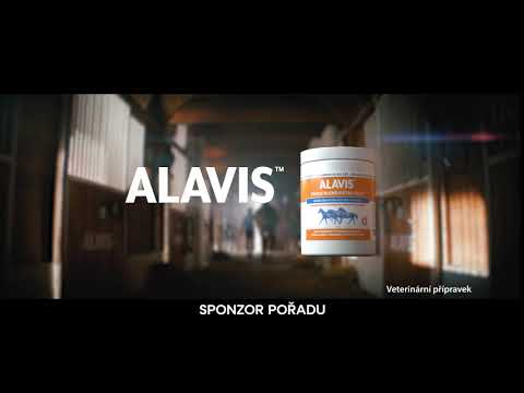 , title : 'Alavis Triple Blend reklama | agentura CZECH PROMOTION'