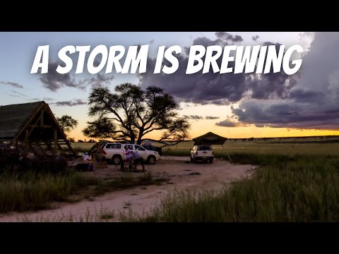 Kgalagadi - Day 7: POLENTSWA. A storm (unlike our coffee) is brewing!
