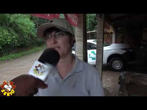 Macaco  é encontrado Morto na Estrada da Jacuba a Sp 57 ,Equipe da Vigilância Sanitária encaminhou o macaco para perícia .