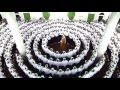 Muslim Or Islamic Hard Party