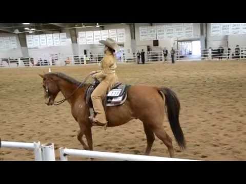 Nicole Smith - Individual Open Horsemanship - IHSA Western Semi-Finals 2014