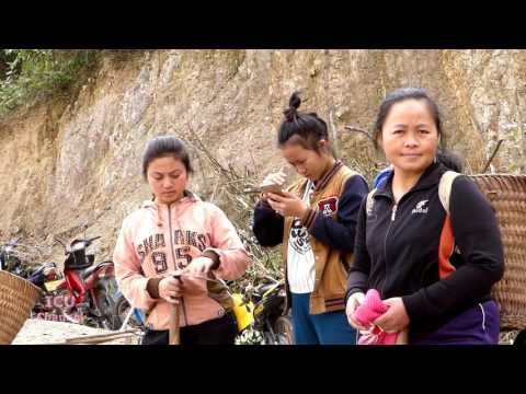 Ntxhais hmoob Xeev Huamphas khawb ntsuag iab Pt.1