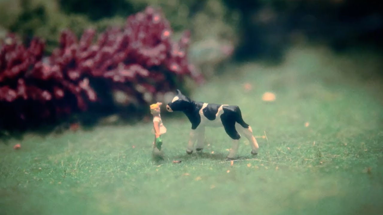 古川本舗 "問うてはその応え" (Official Music Video)