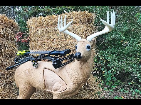 Bass Pro Shops BlackOut 3D Target Review