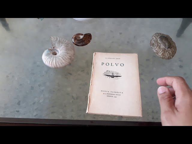 Vídeo relacionado con Polvo: Pita Amor (TORREMOZAS)