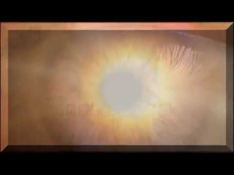 Abdi Adl Video Mix (Sample)📼 Mohammad-Bibak Sar-Dar-Gom-(Ft-T-Dey)🎧