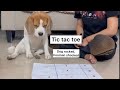 Tic Tac Toe With Doodle Doggames Mustwatch Dogvlog Funnydog