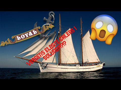 Loyal | Verdens eldste seglande Galeas