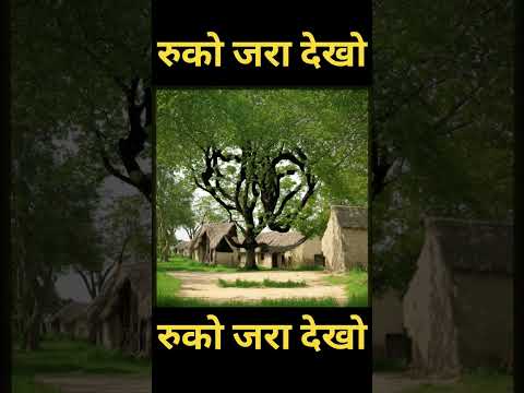 राम और सीता Ram aur Sata #short #video #trending #jayshri