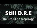 Dr Dre Still D R E Clean Lyrics Feat Snoop Dogg