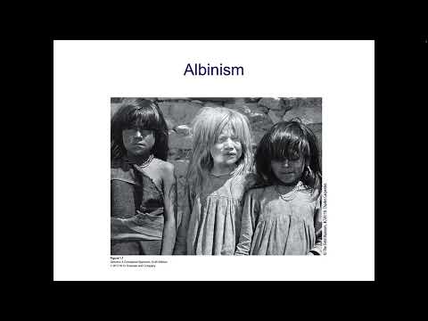 Chapter 1 Introduction to Genetics